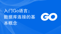 Getting Started with Go Language: Basic Concepts of Database Connections