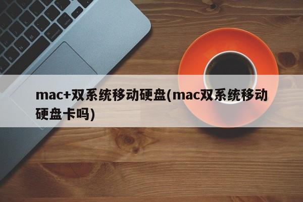 モバイル ストレージ デバイス: モバイル ハード ドライブは Mac でのデュアル システム インストールと互換性がありますか?