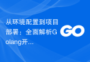 从环境配置到项目部署：全面解析Golang开发流程