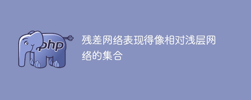 심층 잔차 네트워크는 여러 개의 얕은 네트워크로 구성됩니다.