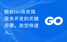 解析Go语言微服务开发的关键步骤，助您快速入门