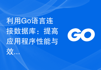 Using Go language to connect to the database: improve application performance and efficiency