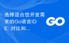 选择适合您开发需求的Go语言IDE: 对比和指导