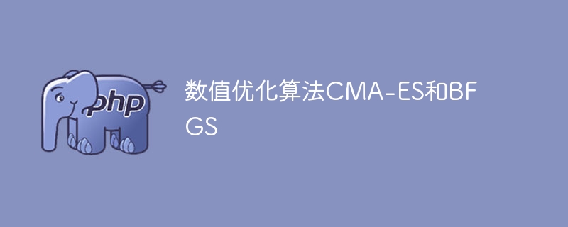 数值优化算法cma-es和bfgs
