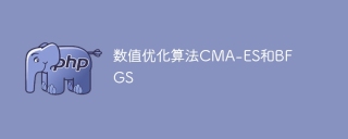 CMA-ES和BFGS：数值优化算法的比较