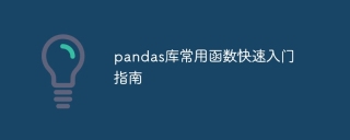 Quick start guide to commonly used functions in the pandas library