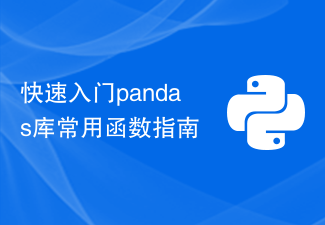 Guide de démarrage rapide des fonctions couramment utilisées dans la bibliothèque pandas