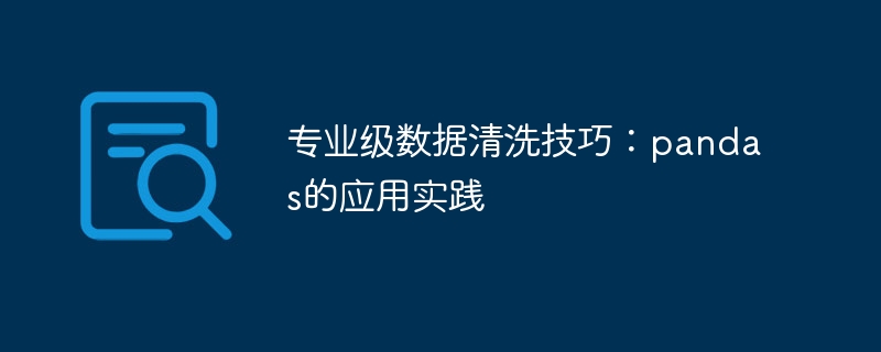 學習如何利用pandas進行專業級資料清洗