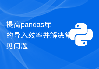 提高pandas库的导入效率并解决常见问题