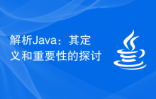 解析Java：其定义和重要性的探讨