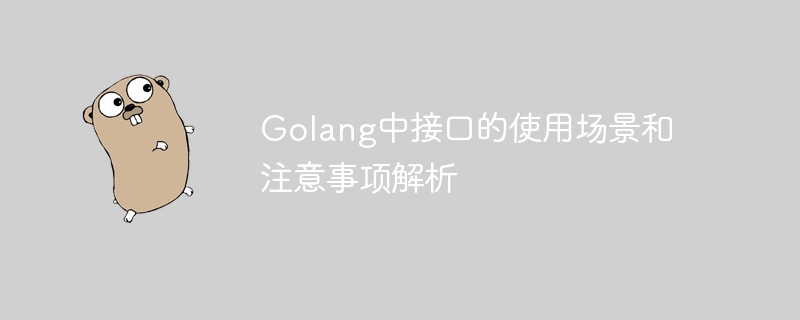 Golang 인터페이스의 사용 시나리오 및 주의사항 분석