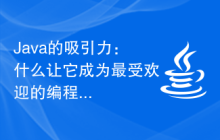 Java的吸引力：什么让它成为最受欢迎的编程语言之一？