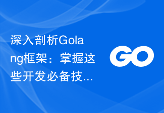 Analisis mendalam tentang rangka kerja Golang: Kuasai kemahiran pembangunan penting ini
