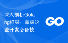深入剖析Golang框架：掌握这些开发必备技能
