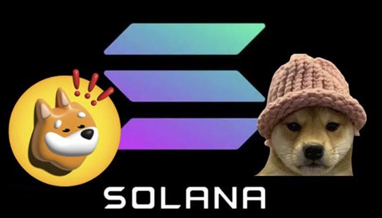 The rise of Solana has led to the popularity of dog concept coins such as BONK and WIF.