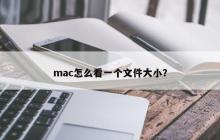 如何在Mac上查看文件的大小？