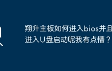如何进入翔升主板的BIOS并以U盘启动？我有些困惑