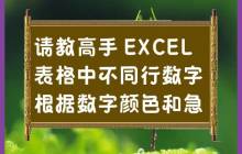 请教高手：急需帮助，如何在EXCEL表格中根据数字的颜色和行数进行操作？