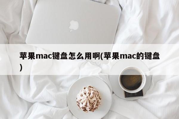 Apple Mac 키보드를 올바르게 사용하는 방법