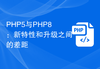 PHP5 vs PHP8 : l'écart entre les nouvelles fonctionnalités et les mises à niveau