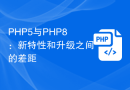 PHP5与PHP8：新特性和升级之间的差距