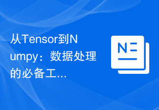 Tensor から Numpy まで: データ処理に不可欠なツール