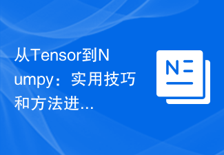 Daripada Tensor ke Numpy: Petua dan Kaedah Praktikal untuk Penukaran