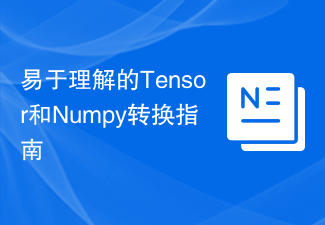 Easy-to-understand Tensor and Numpy conversion guide