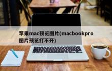 苹果mac电脑遇到无法打开预览图片的问题(macbookpro无法预览图片)