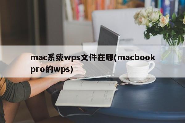 MacBook Pro에서 WPS 파일은 어디에 저장됩니까?