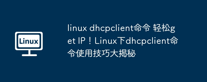 linux dhcpclient命令 轻松get ip！linux下dhcpclient命令使用技巧大揭秘