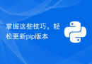 掌握这些技巧，轻松更新pip版本