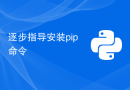逐步指导安装pip命令