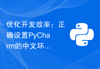 优化开发效率：正确设置PyCharm的中文环境