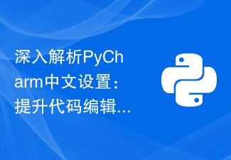 Analisis mendalam tentang tetapan Bahasa Cina PyCharm: meningkatkan pengalaman penyuntingan kod