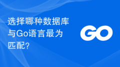 Which database to choose best matches the Go language?
