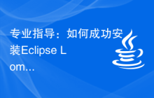 专业指导：如何成功安装Eclipse Lombok插件的专家建议和步骤