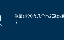 微星z490支持多少个m2固态接口？