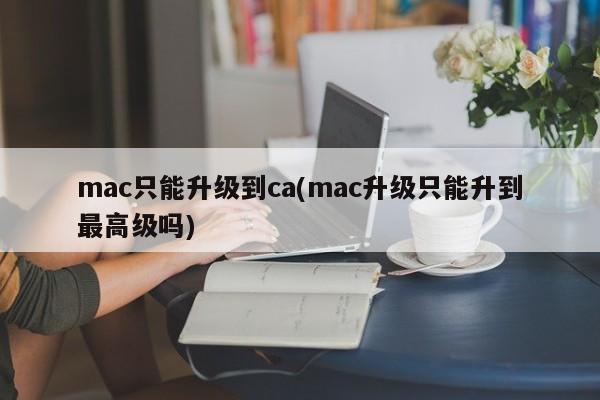 Mac 업그레이드는 최고 수준으로 제한됩니까?