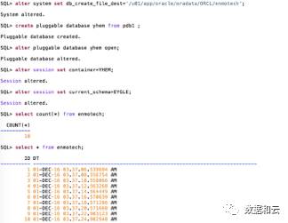 Oracle12.2의 아키텍처 이해: 파일 시스템 및 멀티 테넌시