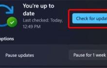 为什么Win11摄像头打开时显示灰色锁定?详情解析