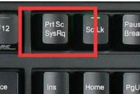 win11截图快捷键大全，如何使用六种win11截图快捷键