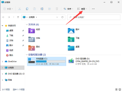 如何在Windows 11中显示文件扩展名