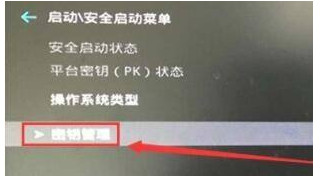 Win11如何啟用安全啟動狀態？ Win11安全啟動狀態的開啟方法共有五種教學課程