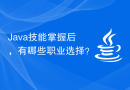 Java技能掌握后，有哪些职业选择？