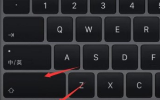 Gründe und Lösungen, warum der Bildschirm des Windows 11-Computers schwarz ist, die Maus aber trotzdem bewegt werden kann
