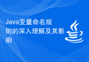 Java变量命名规则的深入理解及其影响