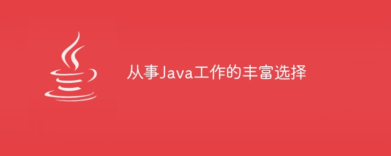 丰富的Java职业选择