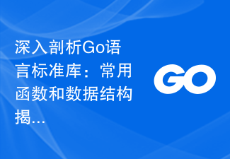 Analisis mendalam pustaka standard bahasa Go: mendedahkan rahsia fungsi dan struktur data yang biasa digunakan