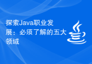 探索Java职业发展：必须了解的五大领域